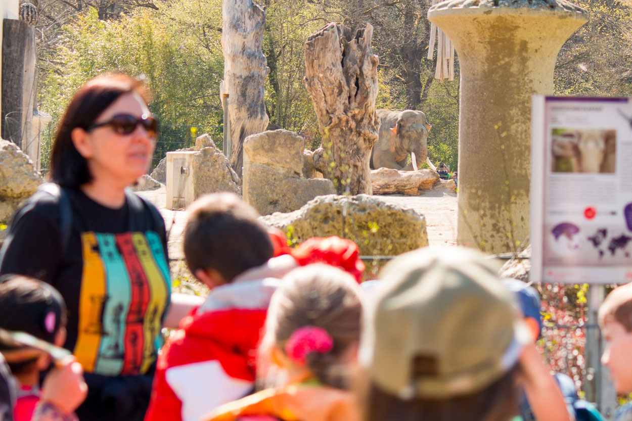 Schachkinder im Tierpark