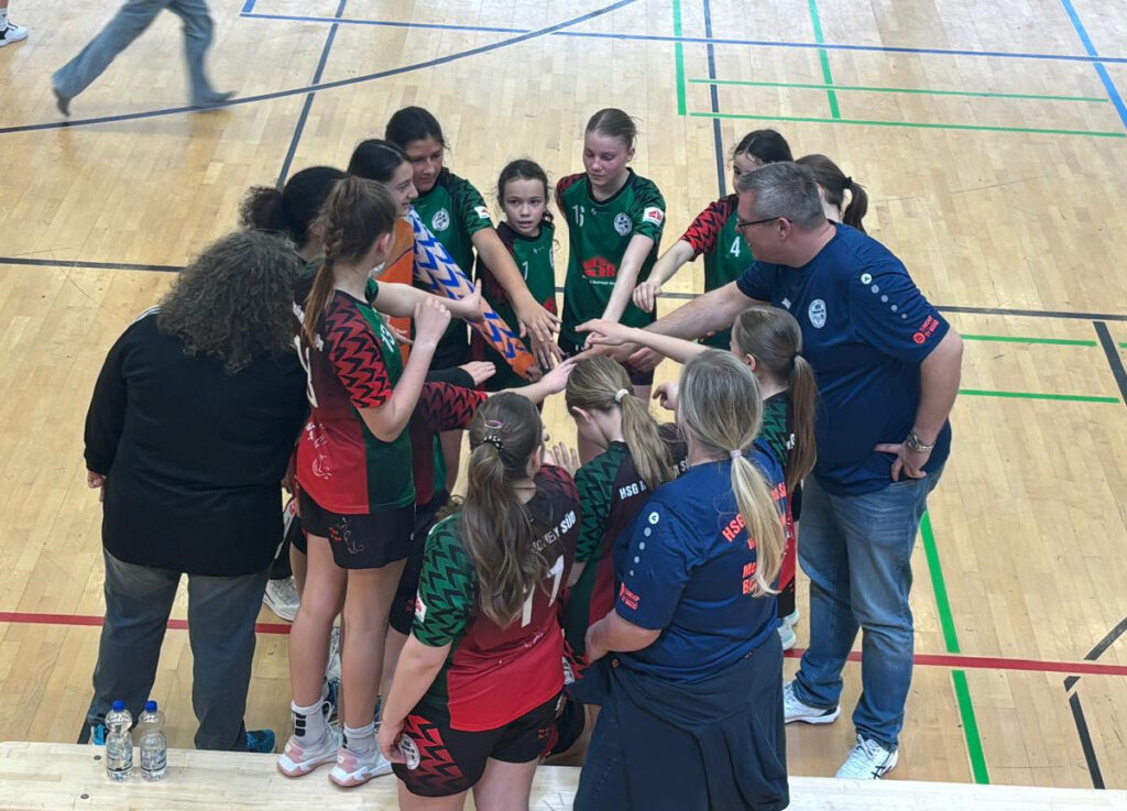 Handball D-Jugend weiblich Meister 2025