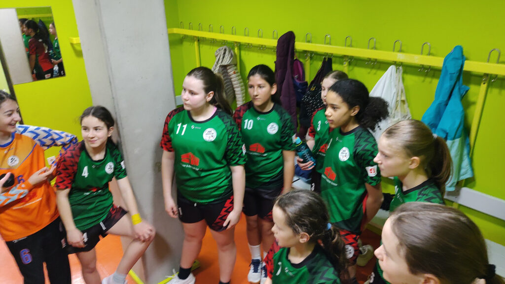 Handball D-Jugend weiblich Meister 2025