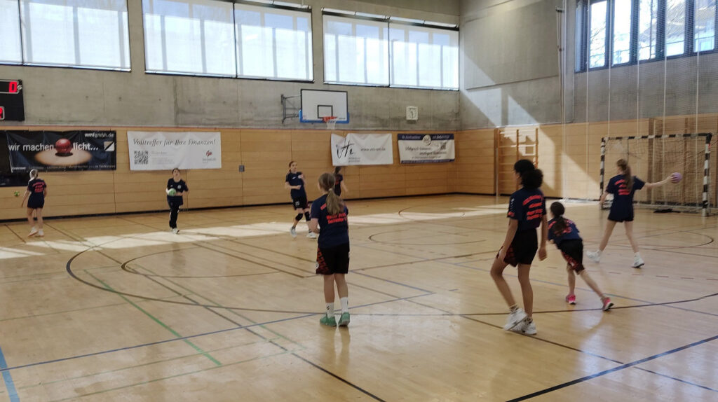 Handball D-Jugend weiblich Meister 2025