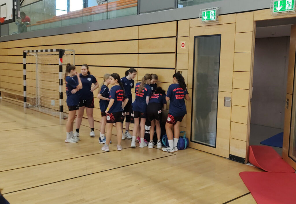 Handball D-Jugend weiblich Meister 2025