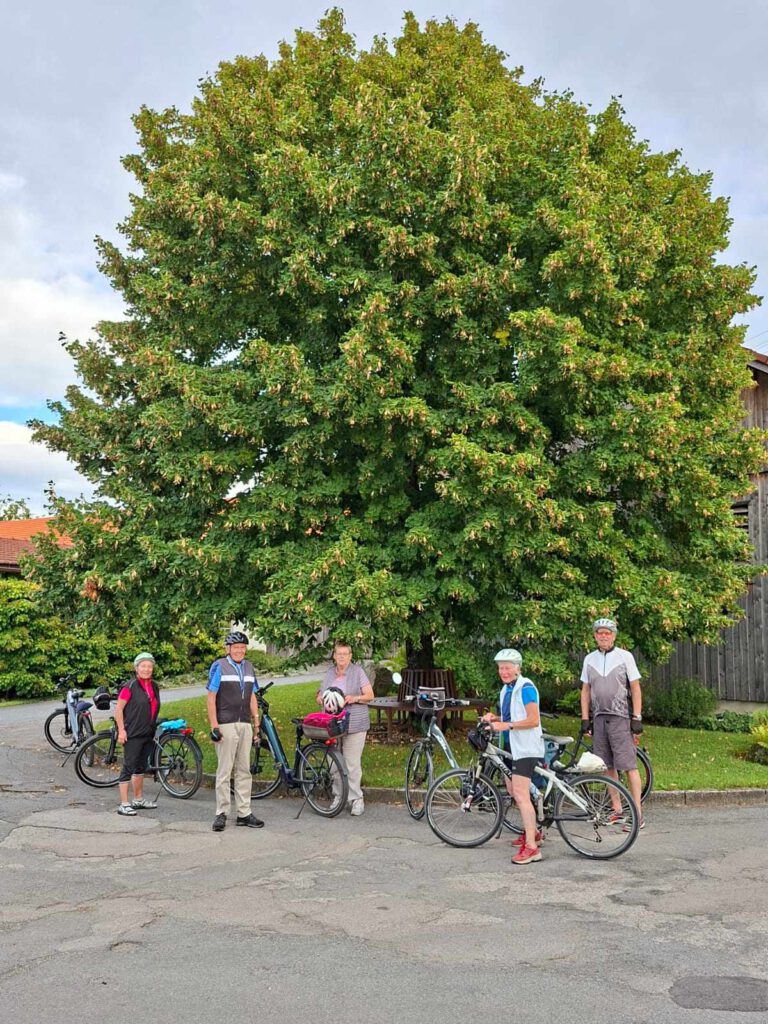 Berg und Ski Sommertouren 2025