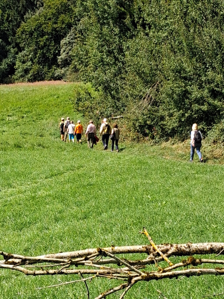 Berg und Ski Sommertouren 2025