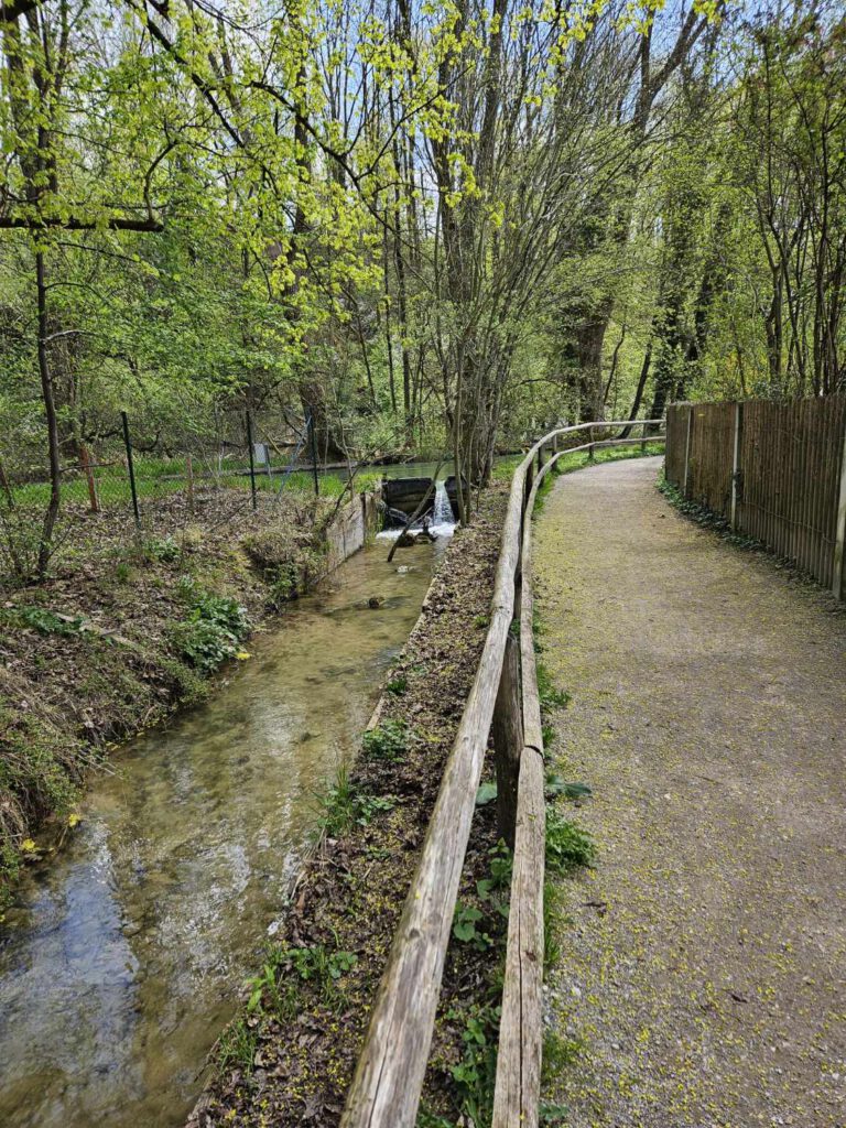 Wanderung Thalkirchen im Frühjahr 2026