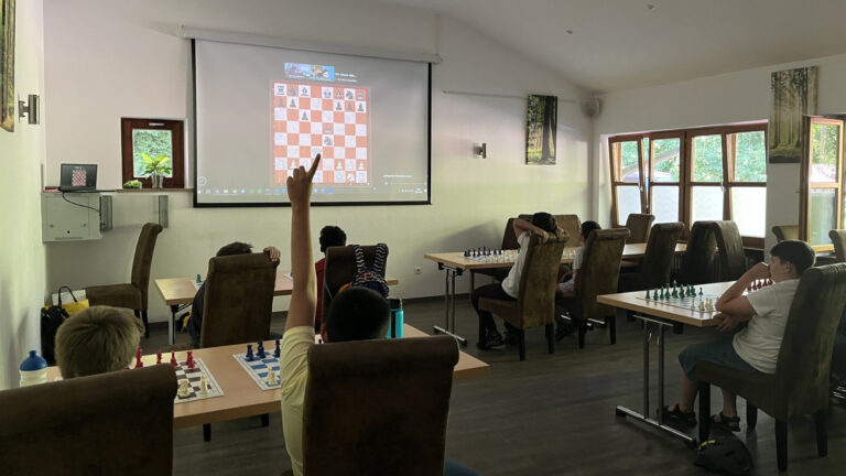 Schach Trainingsimpulse